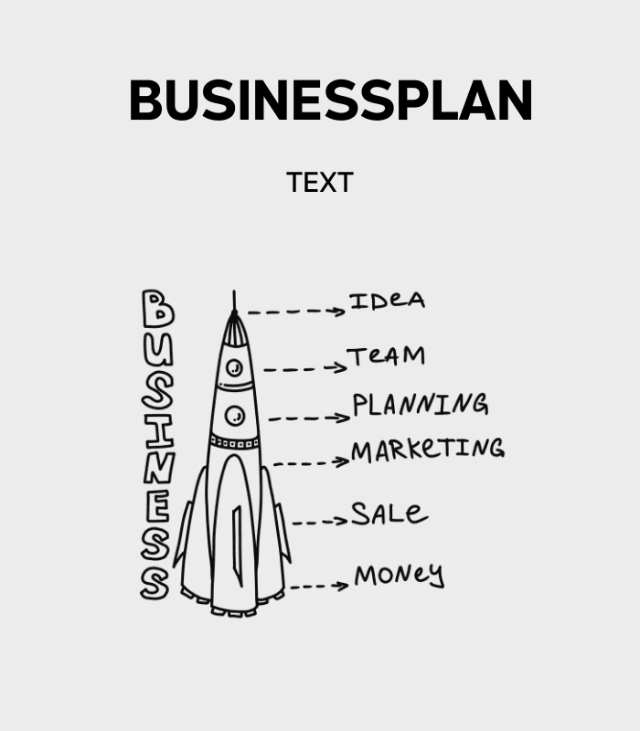Businessplan – Text- und Strukturmodul (strategischer Planungsteil)